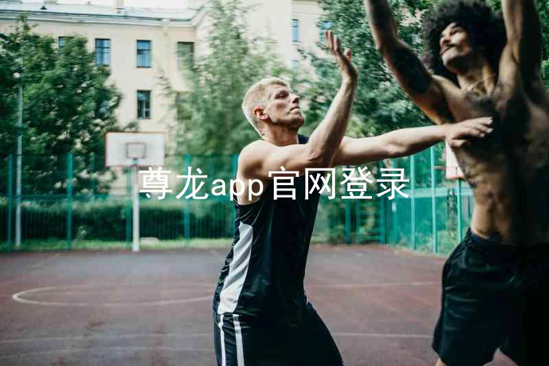 尊龙app官网登录