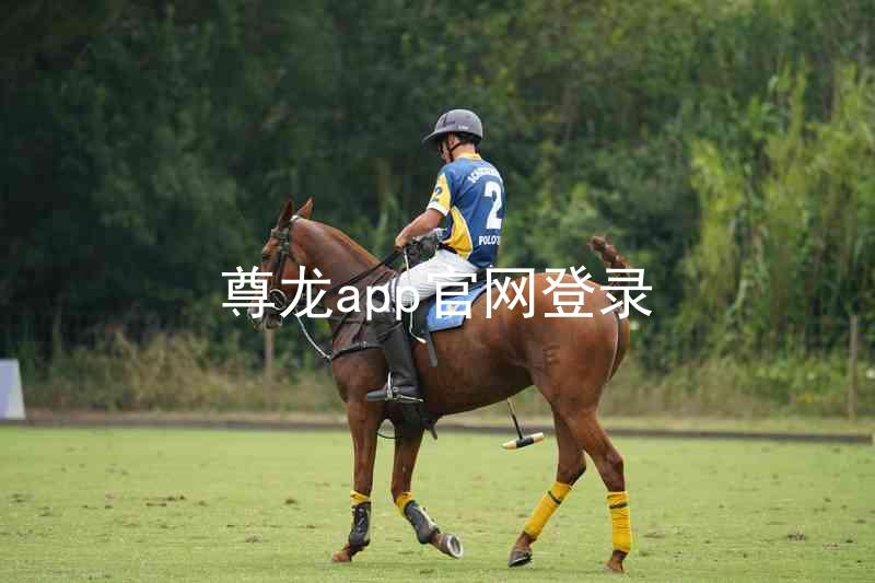 尊龙app官网登录